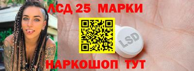прущие грибы Анапа