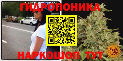 гидра Анжеро-Судженск