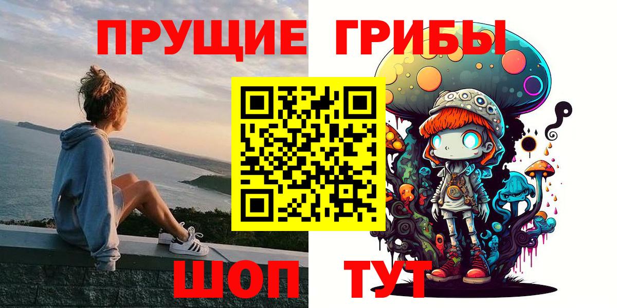 Псилоцибиновые грибы Psilocybe  Вход с VPN  Лабинск 